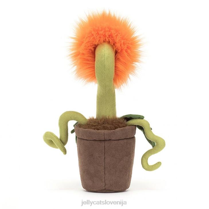 sl Jellycat carniflore tammie pomaranča P622406 igrača